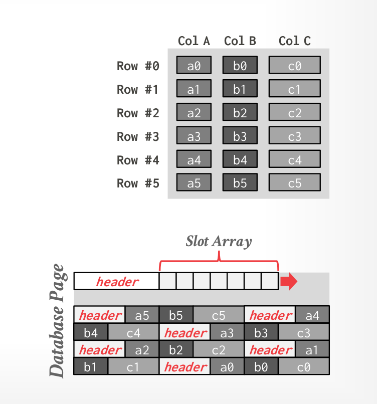 nsm-phy-org