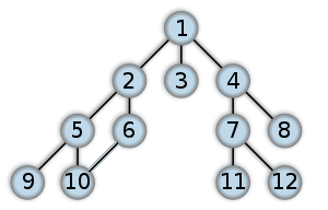 Cyclic-Breadth-first-tree